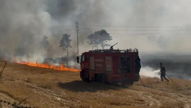 Kırklareli'nde Anız Yangını Panik Yarattı: Detaylar Tüm Türkiye'yi Sarstı