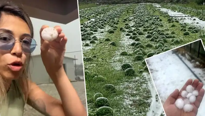 Antalya'da Hortum Felaketi: Dolu Yağışı ve Zararı Gözler Önünde