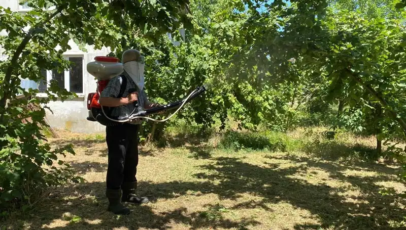 Çiftçilerin Umudu: Kükürt ve Samuray Arısı ile Tarımda Yeni Dönem