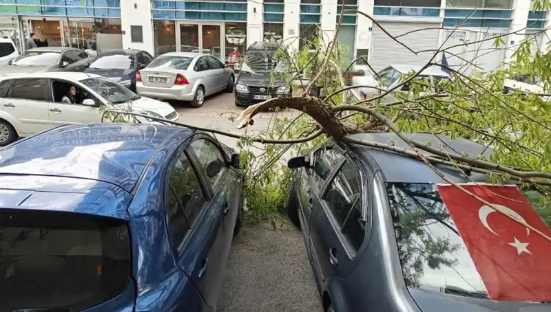 Kayseri'de Dalları Kıran Fırtına Şehirde Hayatı Olumsuz Etkiledi