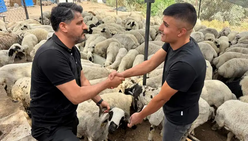 Kurbanlık Alırken Dikkat! Tuz ve Sumak Kullanımı Gövde Şişkinliği Yaratan Hileler