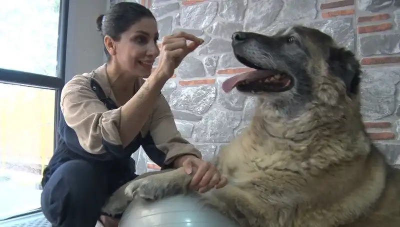 55 Kilo Obez Duman’ın Zayıflama Mücadelesi: Pilates ve Sporla Yeni Bir Hayat
