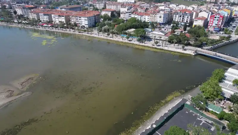 Marmara Denizi’nde Tehlikeli Gelişmeler: Uzmanlar Uyarıyor!