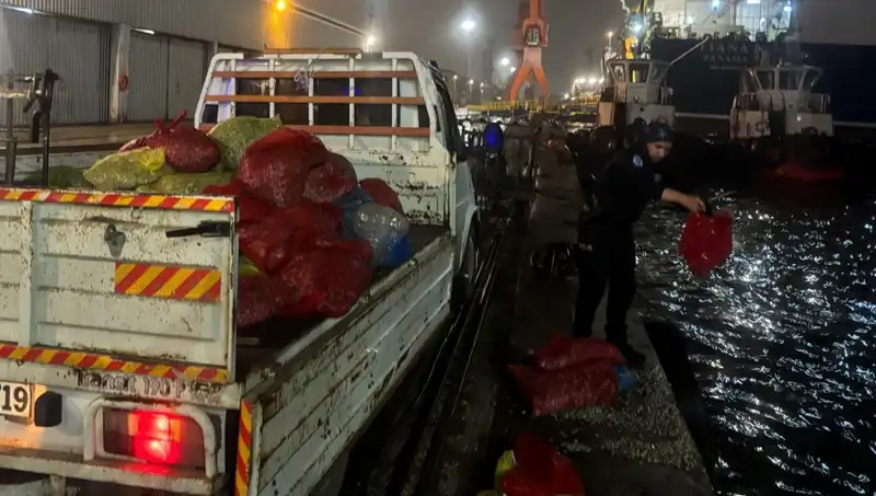 Kaçak Midyeler Denizde Ele Geçirildi: Operasyon Rüzgar Gibi Esti!