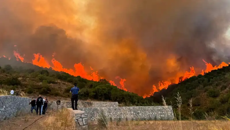 : Bursa, Kocaeli ve İzmir'deki Orman Yangınları: Nature Sadığına Geçti mi?