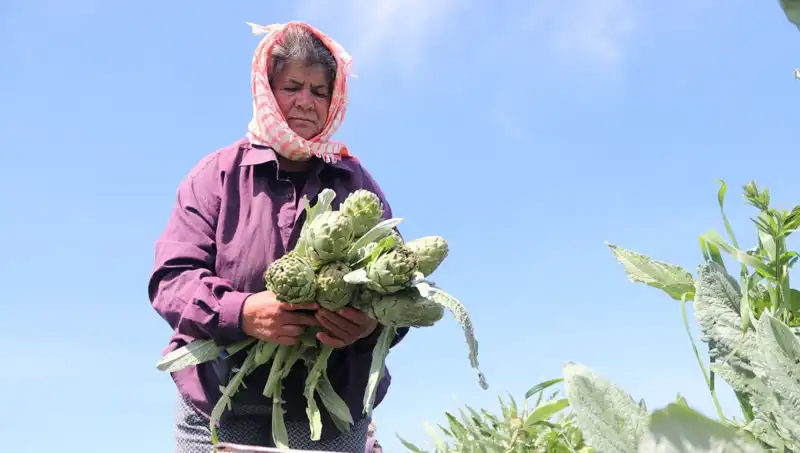 Tarladan Sofralara Gelirken Fiyatlar Neden Yükseliyor?