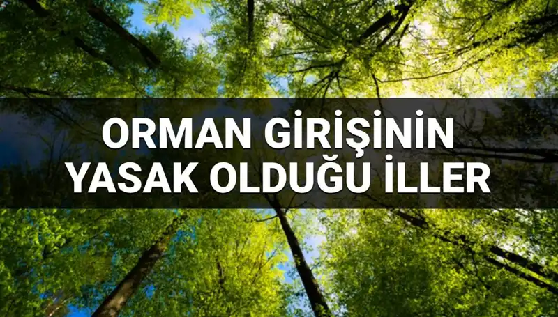 2025 Yılında Ormana Girişi Yasaklanan İllerin Sıra Dışı Listesi
