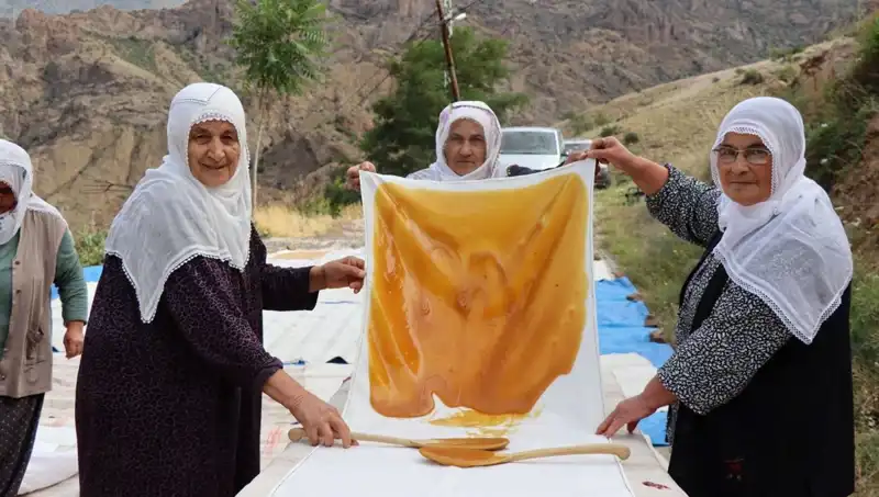 Yaz Aylarında Unla Pişirilen Sağlıklı Lezzetler: Güneşte Kurutmanın Sırları