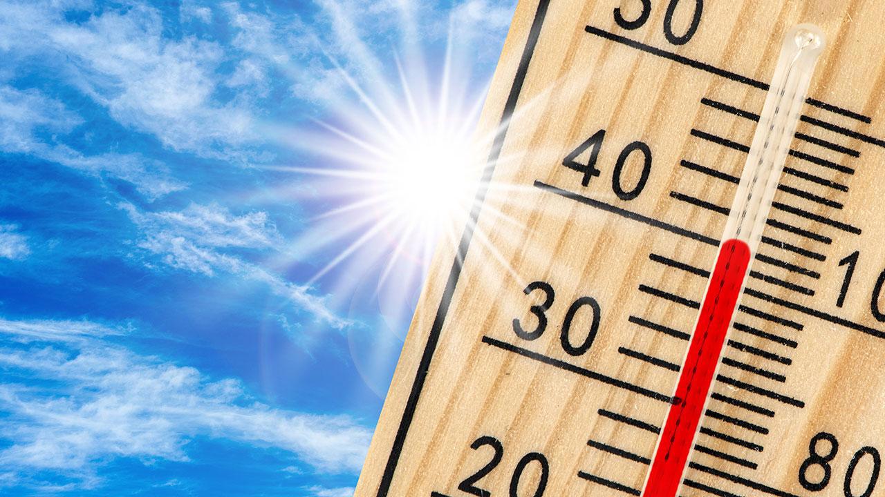 Dünya 2024'te rekor sıcaklıkta!