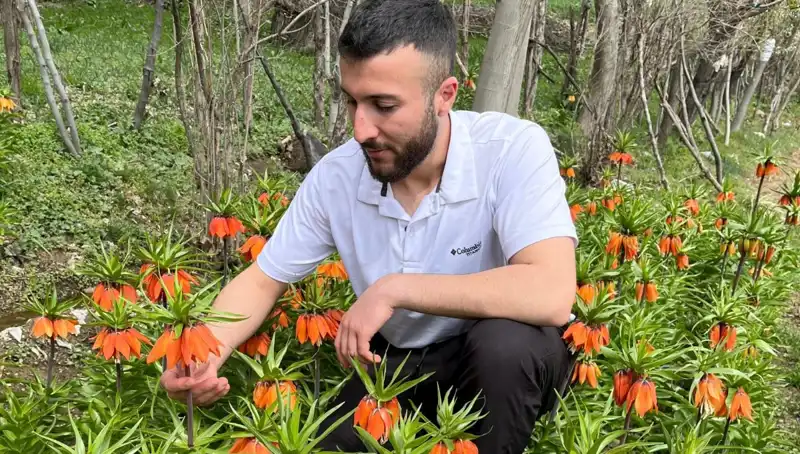 20 Günlük Ömrü Olan "Ağlayan Gelin": Koparma Cezası 244 Bin Lira!
