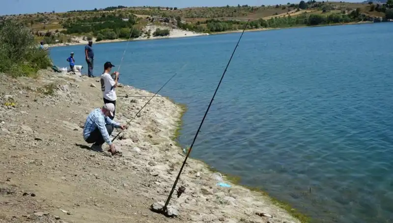 Hızla Yayılan Kafes Patlaması, Barajların Dolup Taşmasına Neden Oldu