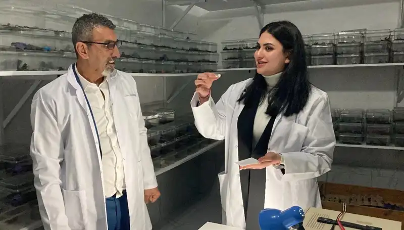 Akrep Zehrinin Şekere Damlattığı Eşsiz Tat Deneyimi