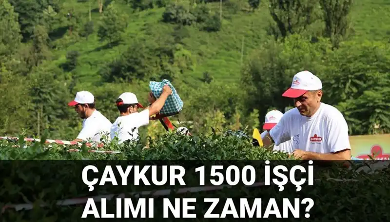 ÇAYKUR İşçi Alımı Kura Çekimi Tarihi Nedir? Nihai Liste İçin Gözler Burada!