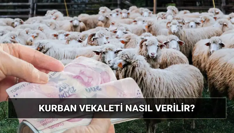 Vekaletle Kurban Kesimi: Diyanet'in 2025 Ücretleri ve Süreç Detayları