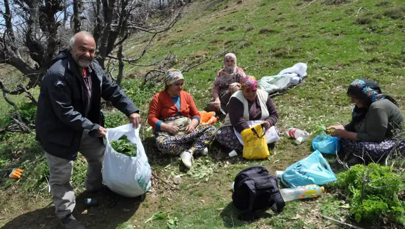 Yüzlerce Ailenin Geçim Kaynağı: 5 Saat Yürüyerek Topladıkları Kilosu 250 Lira Değerinde