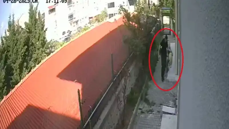 Veteriner Doktor, Sahiplendiği Köpekleri Parçalarken Yakalandı!
