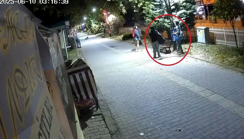 Aydınlatma Direklerindeki LED Işıkların Soyulması: Belediye İçin 300 Bin TL'lik Zarar!