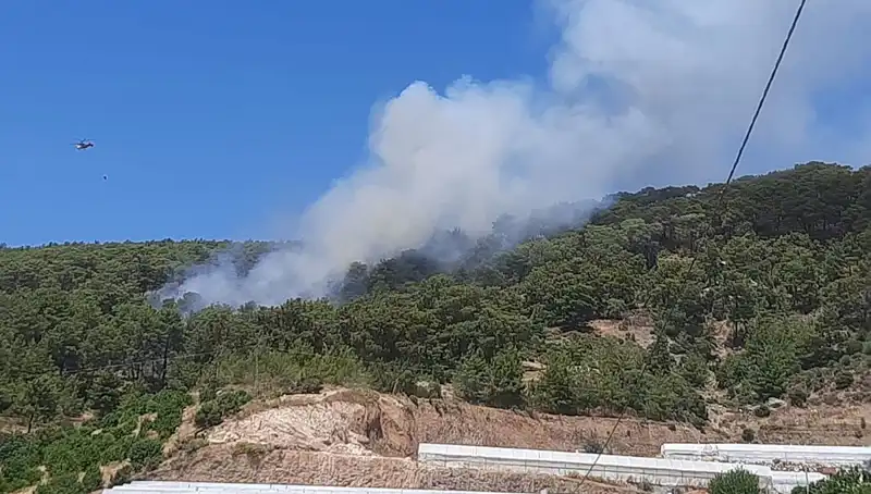 Kumluca'da Alevlerle Mücadele: Orman Yangınıyla Savaş Başladı