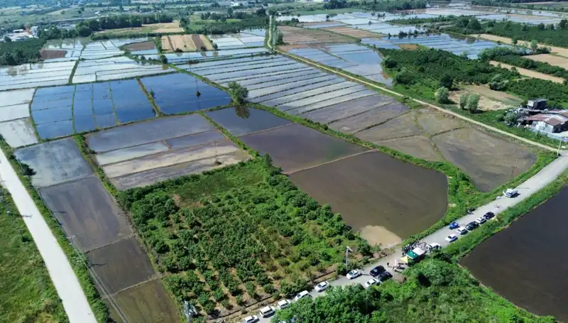 Osmanlı Saray Mutfağının Lezzetleri Toprakla Buluşuyor: Geçmişin Mirası Yeniden Canlanıyor
