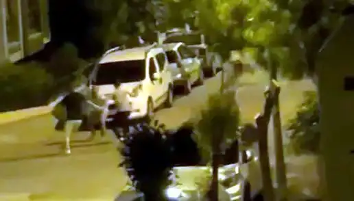 Avcılar’da Vatandaşa Feci Saldırı: Cesur Komşular Kurtardı