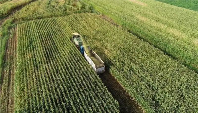 2025 Mart Ayı Mazot ve Gübre Desteği Ödemeleri İçin Detaylar Açıklandı
