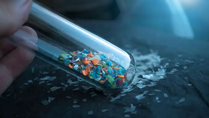 Mikroplastikler, İnsan Beyninde Neler Yapıyor? Bilimsel Araştırmalar Ortaya Koydu