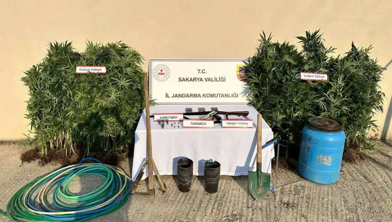 Sakarya'da Uyuşturucu Operasyonu: Polisin Hızlı Müdahalesi ile 1 Kişi Tutuklandı