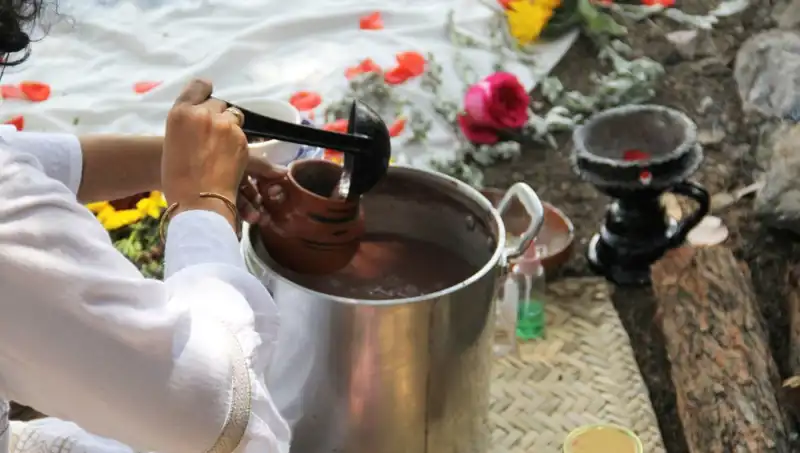 Ayahuasca: Doğanın Şifası Yoksa Yasaklı Bir Sır mı?