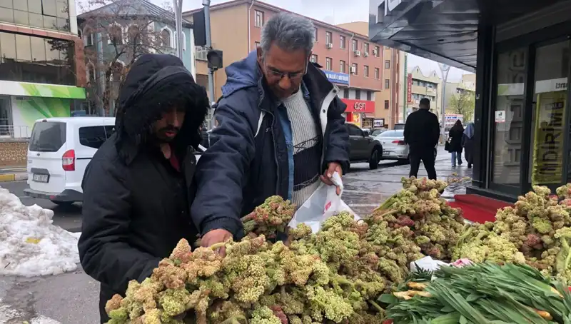 Kendiliğinden Yetişen Doğal Müjde: Kanserle Savaşta Yeni Umut!
