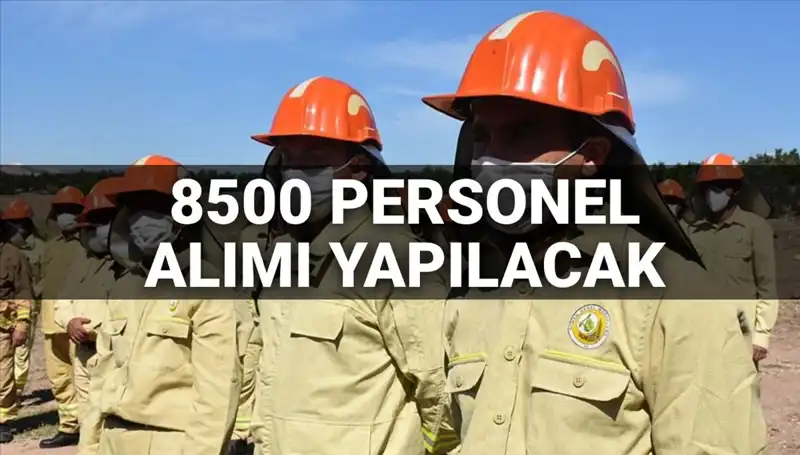 2025 Tarım ve Orman Bakanlığı Personel Alımı: 8500 Kişilik Kadro Detayları Açıklandı