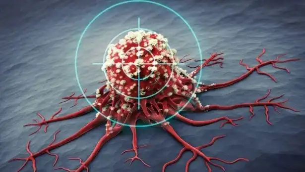 Prostat Kanseriyle Mücadelede Etkili 6 Besin: Bilimsel Kanıtlar Ortaya Çıktı