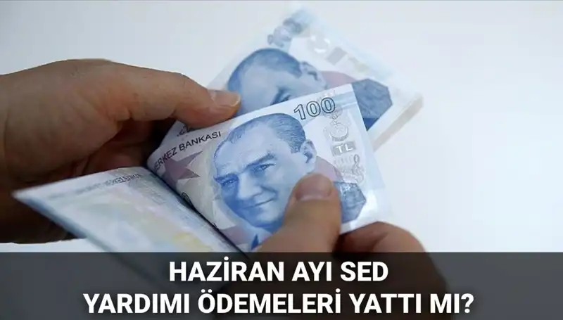 Haziran 2025 Taşıtı SED Ödemeleri: Ne Zaman Yatıyor ve Nasıl Sorgulanır?