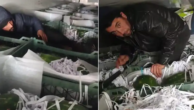 Karpuzların Arasından Göçmenler Çıktı: Bu Olayın Ardındaki Gerçekler