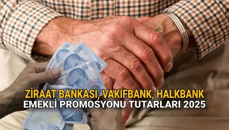 Kamu Bankaları Emekli Promosyonları 2025: Hangi Banka Ne Sunuyor?