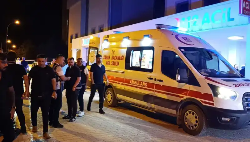 Kardeş Kavgasına Müdahale Eden Genç, Trajik Bir Kaza ile Sonuçlandı