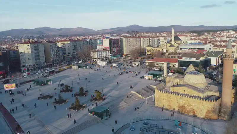 Kırşehir’de Keşfedilen Yeni Böcek Türü Bilim Dünyasını Şaşkına Çevirdi