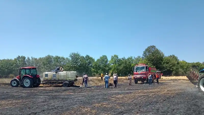 Buğday Tarlasındaki Yangın, 10 Dönümlük Alanı Kül Etti!