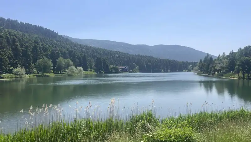 Bolu'nun Büyüleyici Milli Parkları Bu Yıl Rekor Ziyaretçi Ağırladı