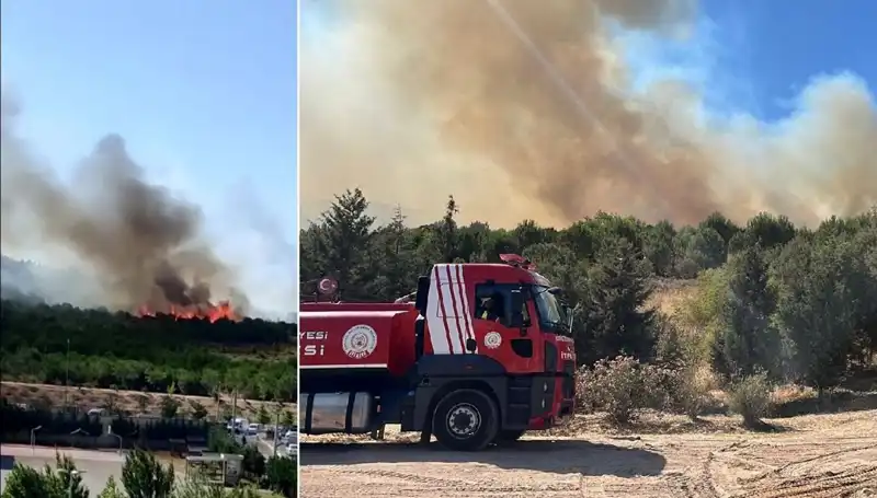 Gebze'de Korkutan Orman Yangını: Alevler Hızla Yayılıyor!