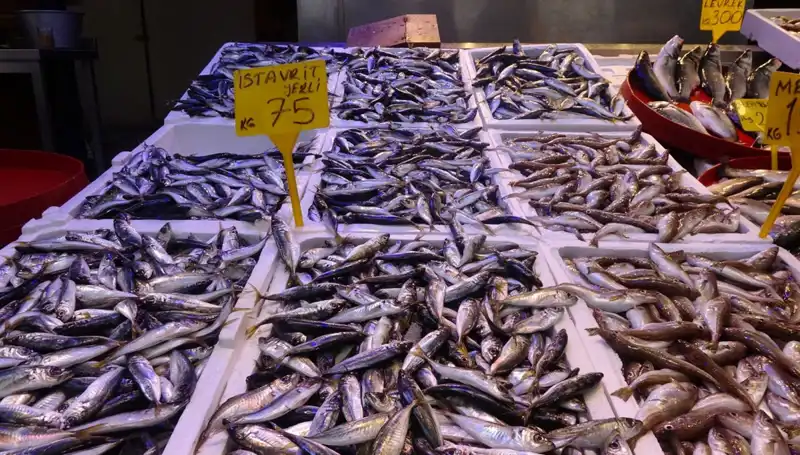 Balık Sezonu Sona Ererken Balıkçıları Neler Bekliyor?