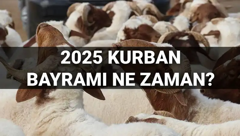 2025 Kurban Bayramı Ne Zaman? 9 Günlük Tatil İhtimali Gündemde