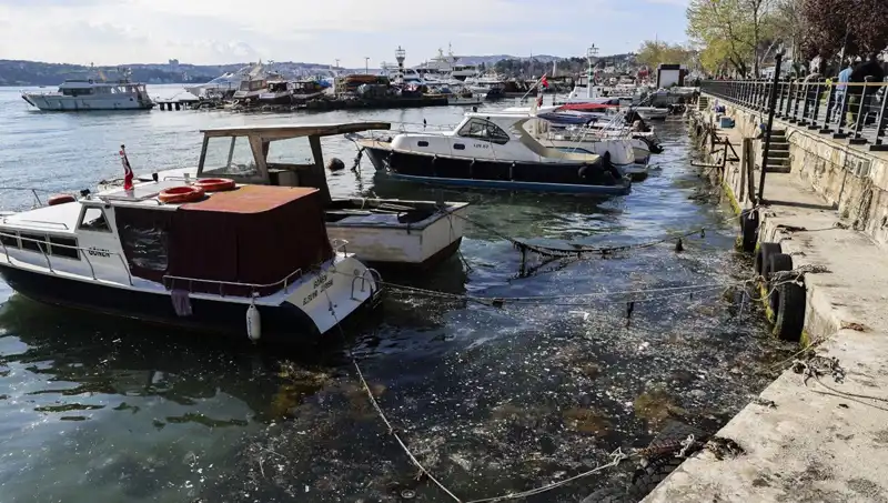 İstanbul'un Denizi Müsilajla Yeniden Savaş Korkusuyla Yüzleşiyor