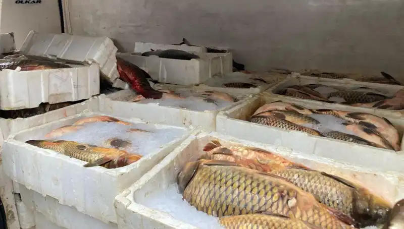 Kaçak Balık Avına Çıkanlara Binlerce Lira Ceza: Tedbirler Artıyor