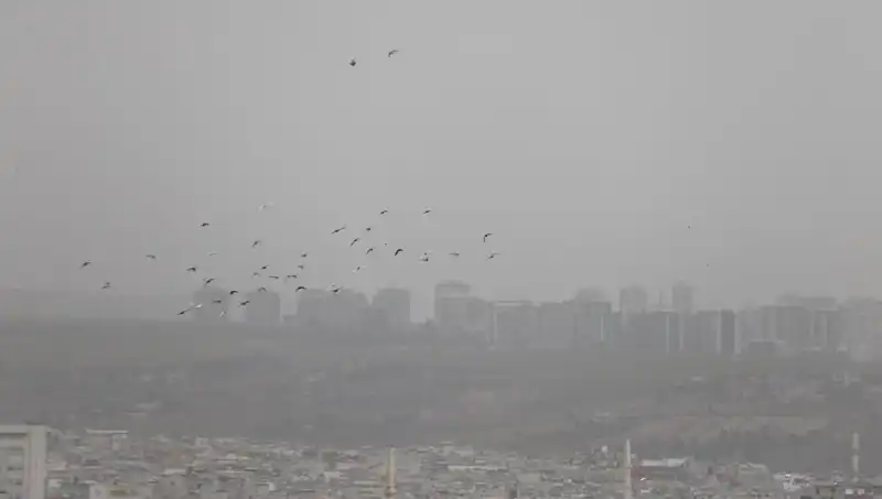 Şanlıurfa'da Toz Bulutu Hayatı Felç Etti: Görüş Mesafesi Sıfıra Düştü