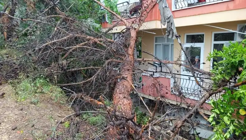 Yağmurun Şiddeti, Eski Bina İçin Sonucu Belirledi: Gözler Onun Üzerinde