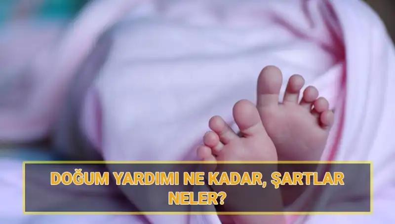 2025 Doğum Parası Miktarları ve Başvuru Şartları: Her Aile İçin Önemli Bilgiler